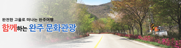서브비주얼
