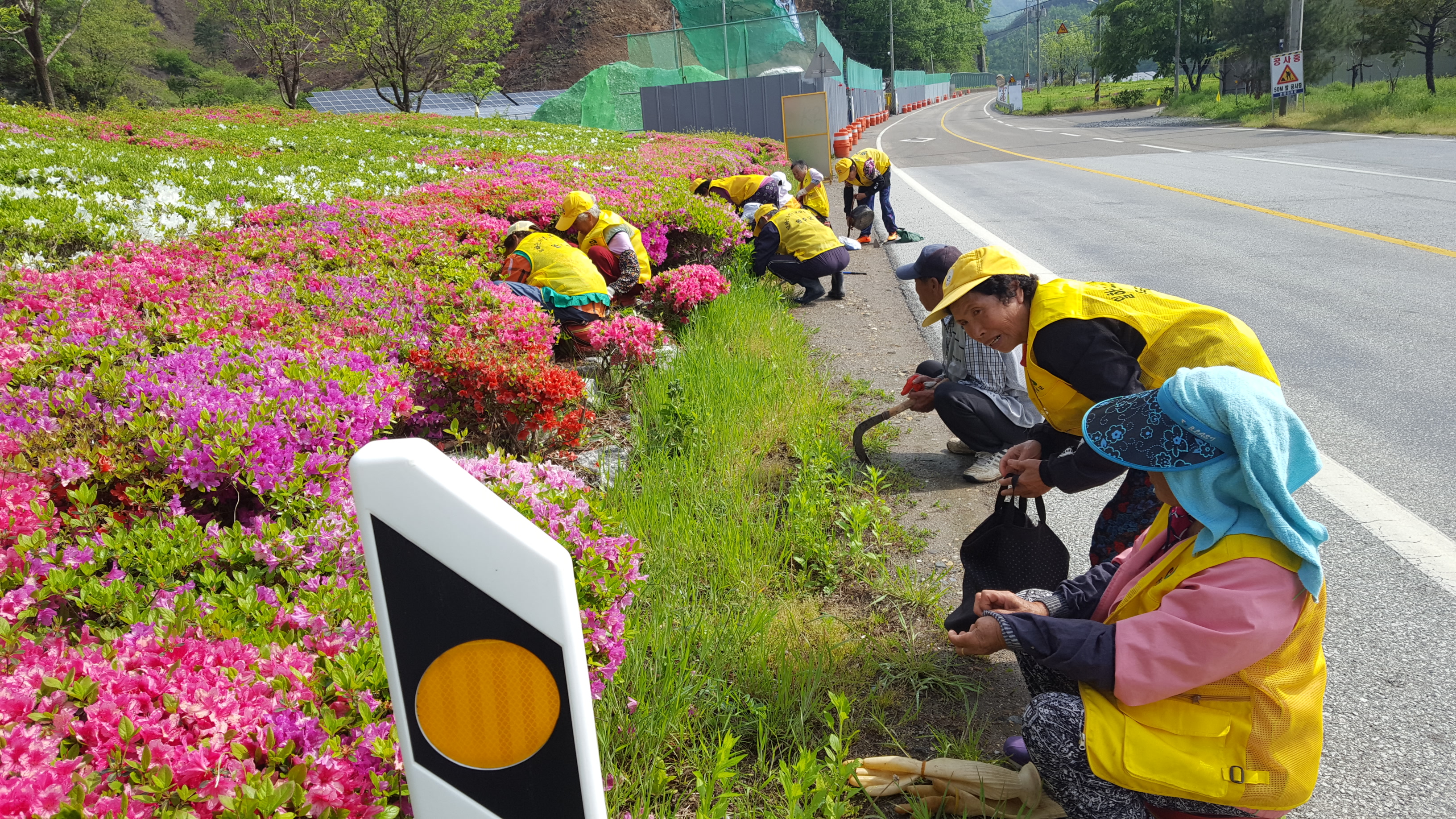 완주 경천면 “노인일자리사업으로 화단 꽃단장”1