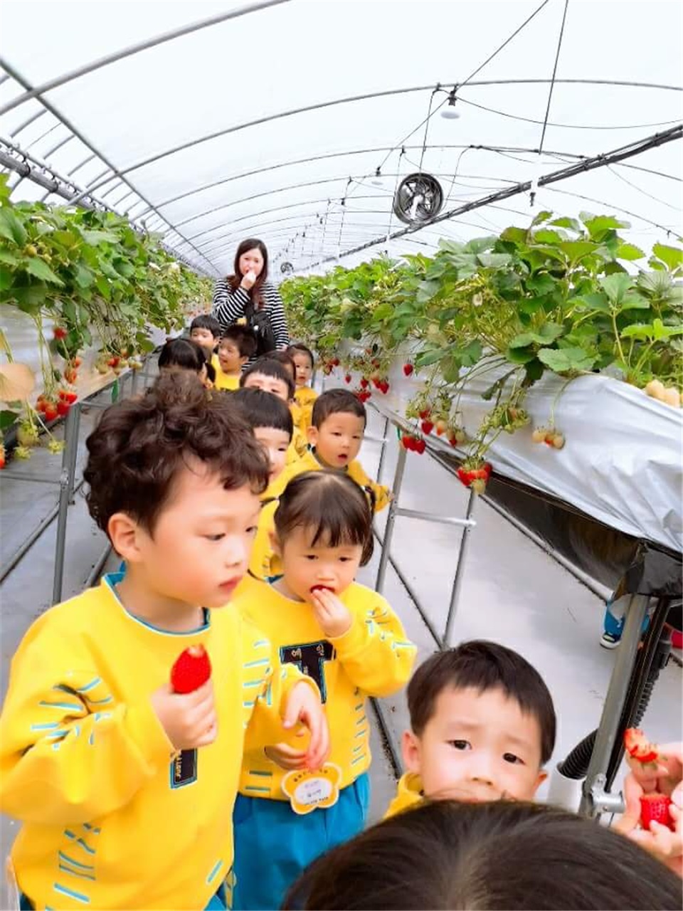 완주군 농촌체험학습장 1만명 다녀갔다1