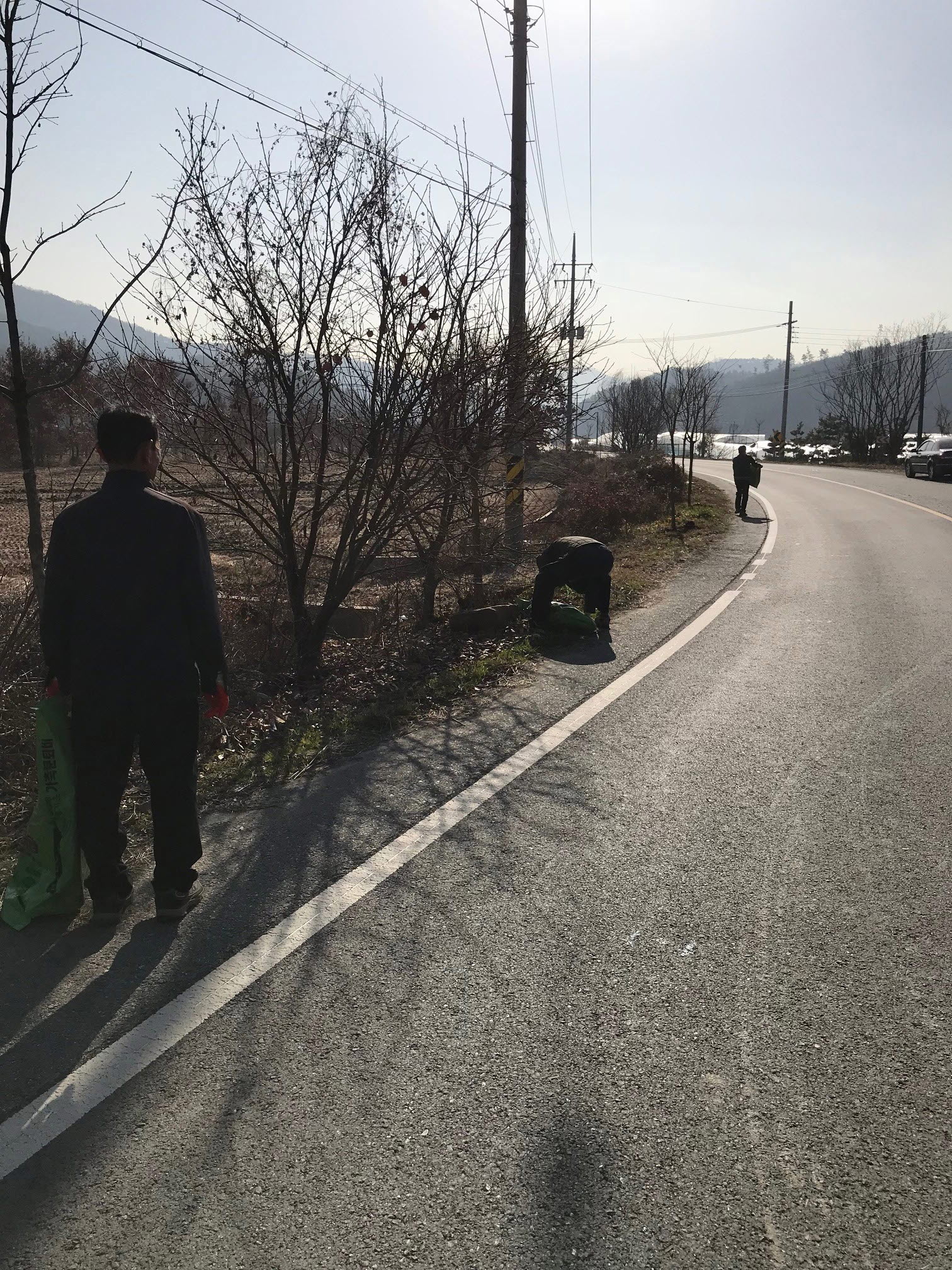완주군 비봉면 이장협의회, 가로수 가꾸기1
