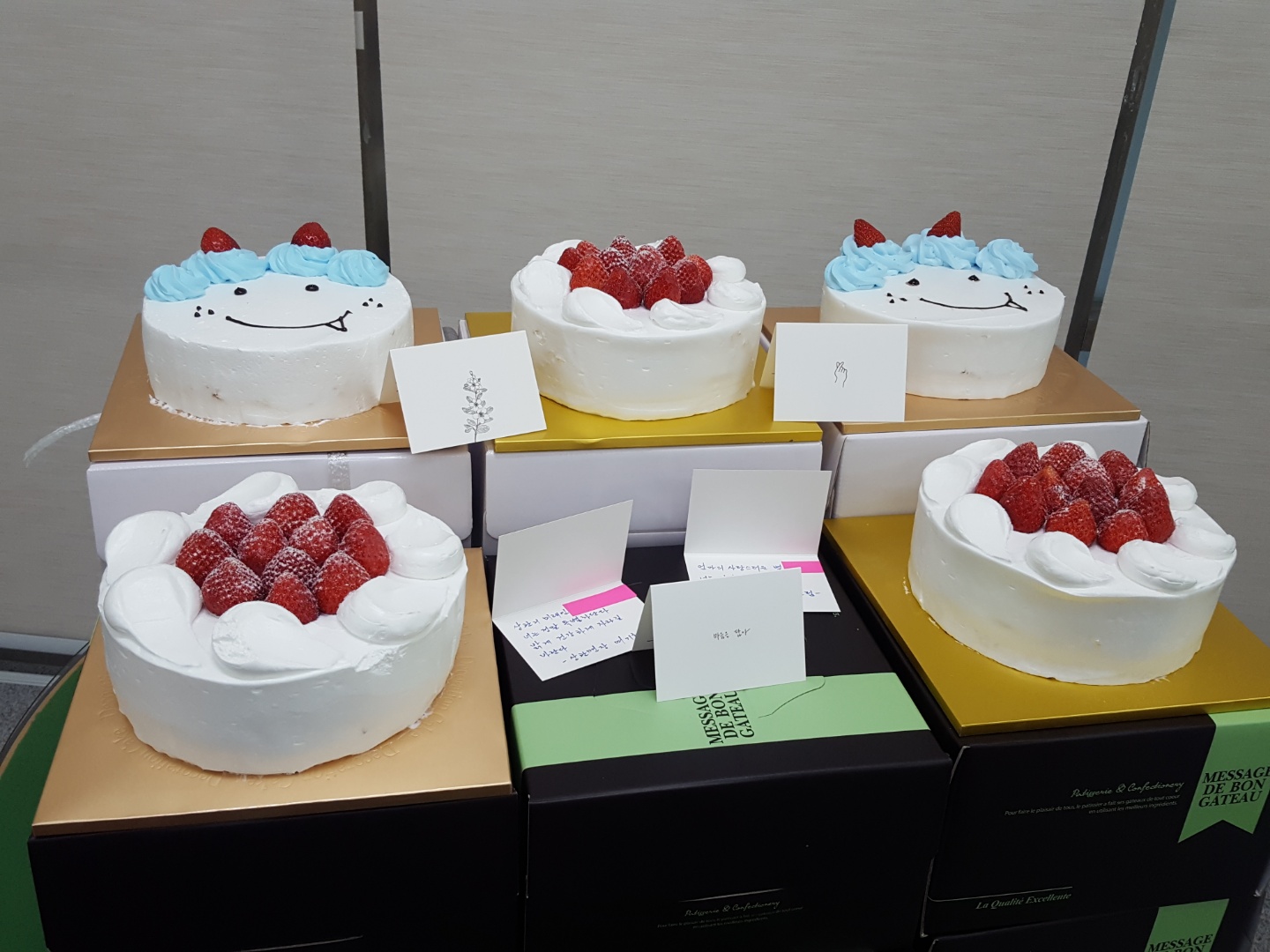 “면장님이 저보고 특별하대요”1