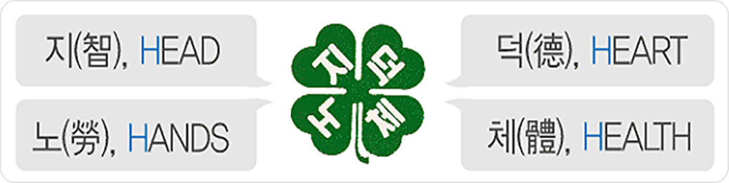 지덕노체 : 지(智), HEAD / 덕(德), HEART / 노(勞), HANDS / 체(體), HEALTH