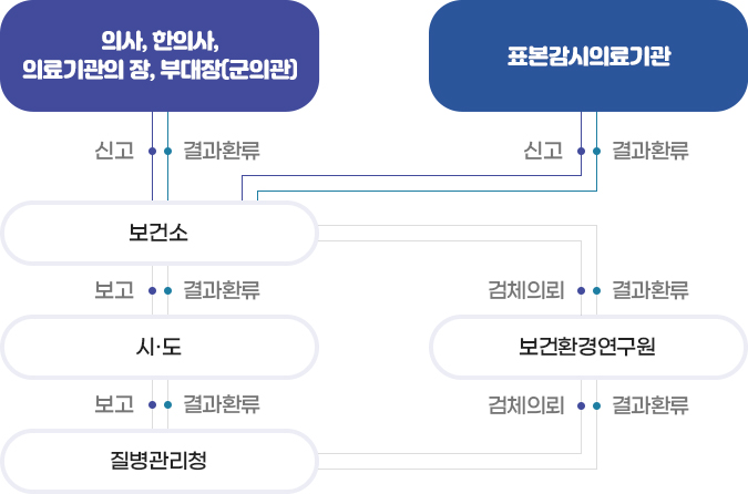 의사, 한의사, 의료기관의 장, 부대장(군의관) 보건소에 신고 → 시·도 보고 → 질병관리청 보고  → 시·도 결과 환류 → 보건소 결과환류 → 의사, 한의사, 의료기관의 장, 부대장(군의관) / 표본감시의료기관 보건소에 신고 → 보건환경연구원 검체의뢰 → 질병관리청 검체의뢰 → 보건환경연구원 결과환류 → 보건소 결과환류 → 표본감시의료기관 결과환류