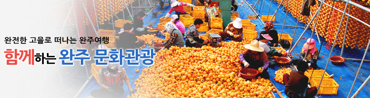 서브비주얼