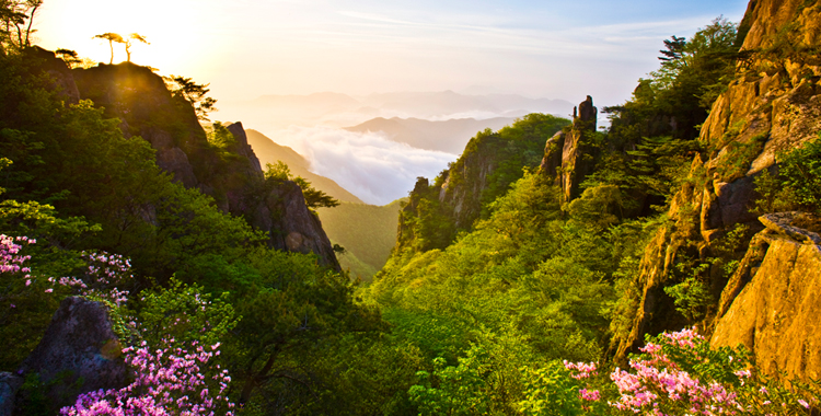 대둔산도립공원