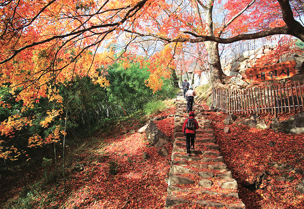 모악산도립공원