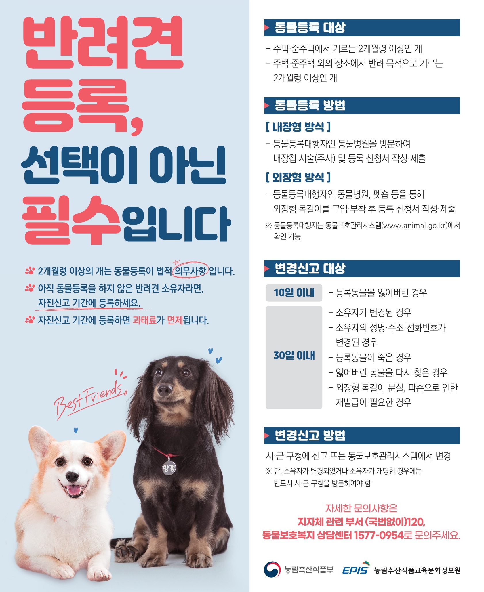 동물등록 홍보 포스터 (1).jpg
