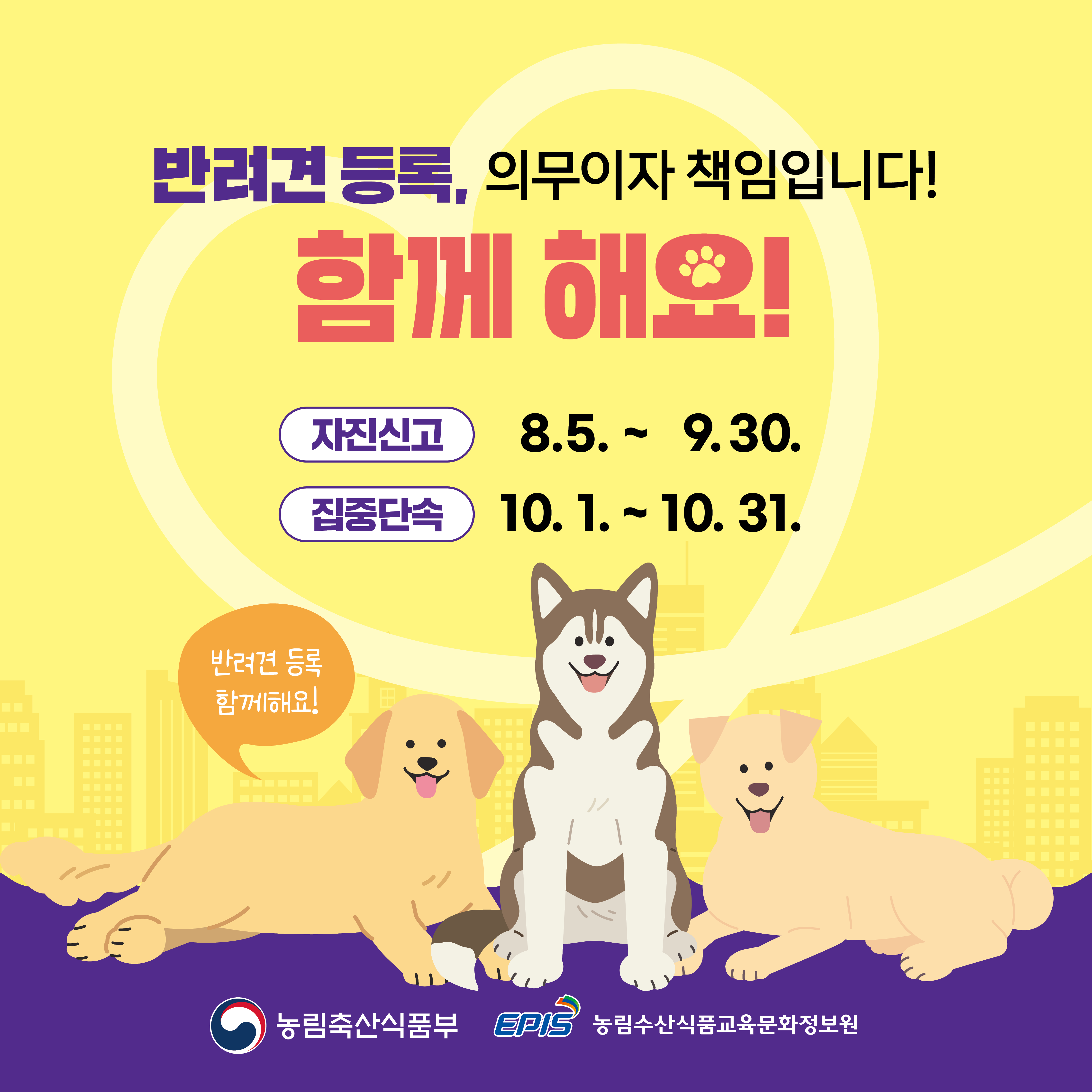 소중한 우리 강아지와의 연결고리 (카드뉴스)_8.png