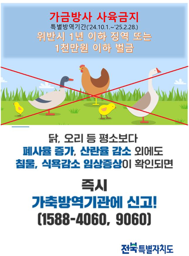 가금방사 사육금지(특별방역기간).jpg