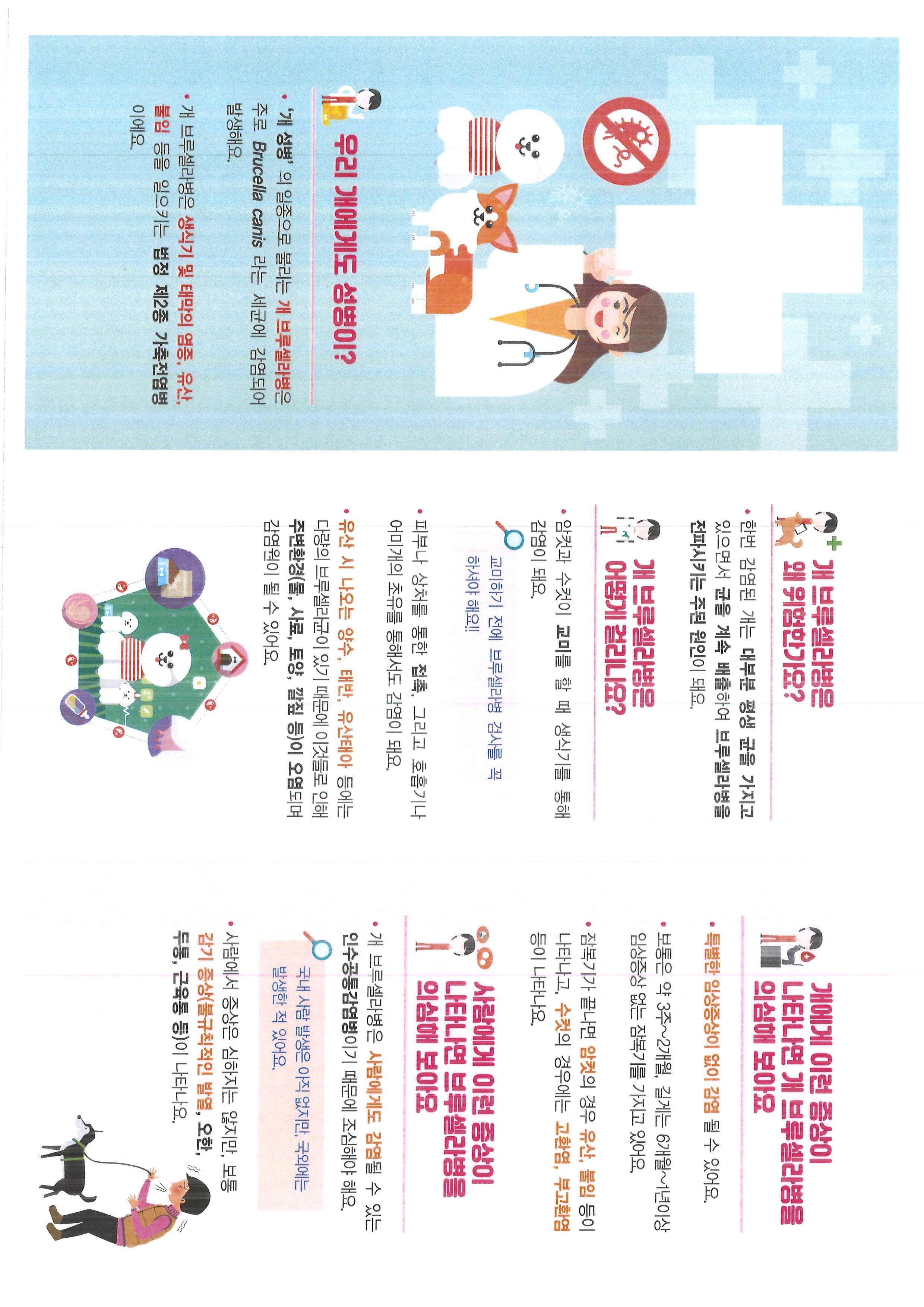 개 브루셀라병 예방 홍보2.jpg