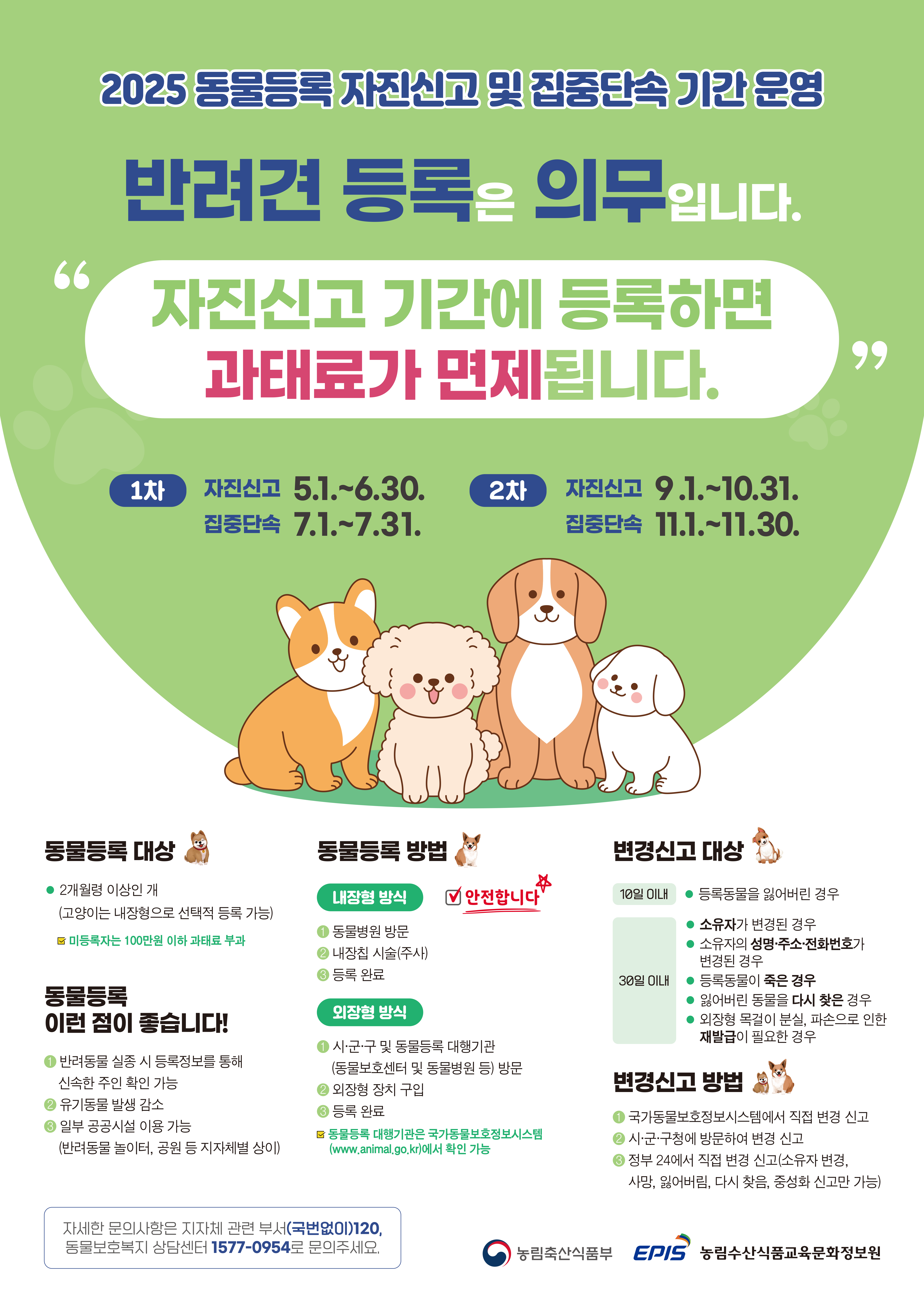 2025년 동물등록 자진신고 및 집중단속 기간 운영 홍보 포스터.png