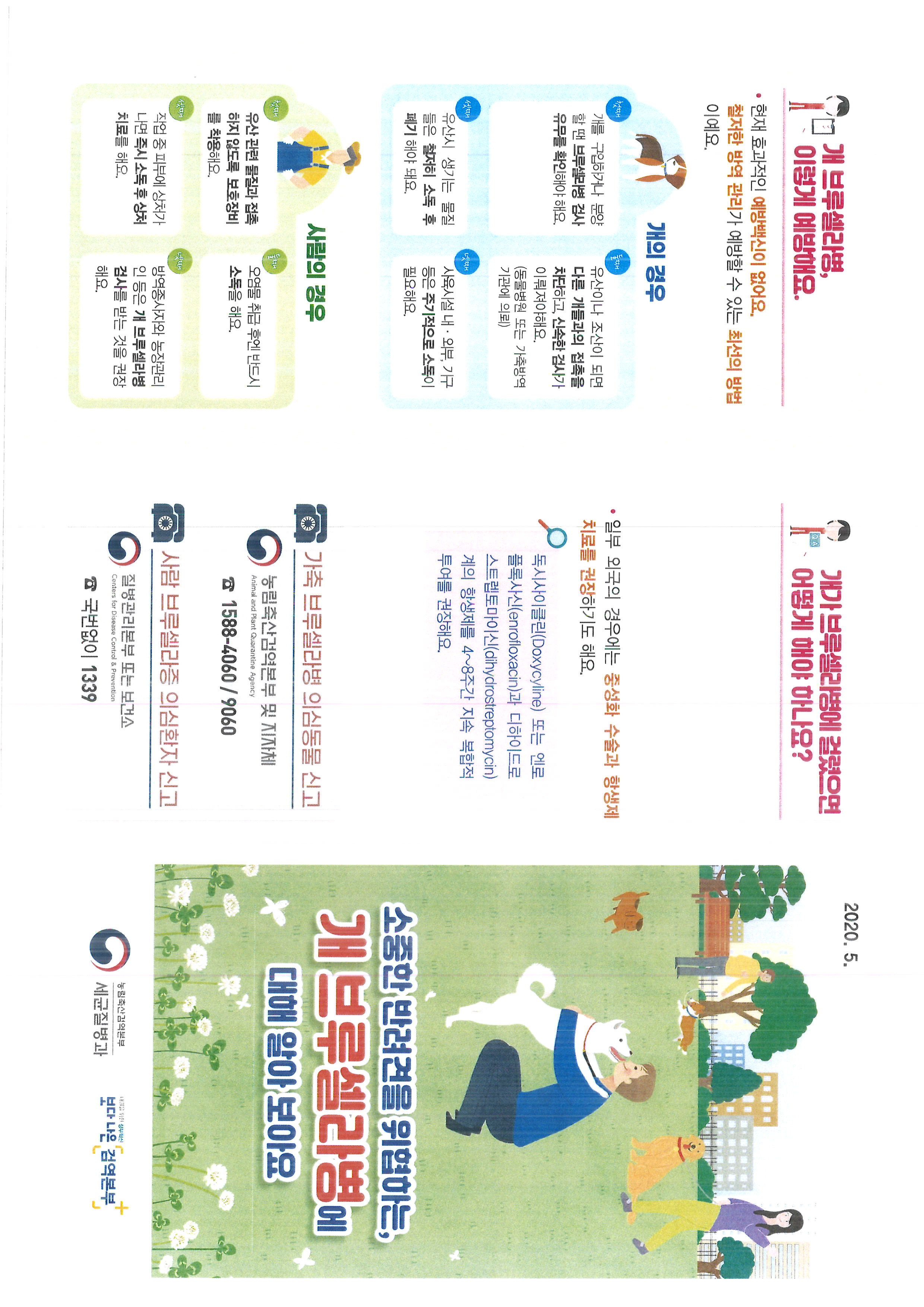 개 브루셀라병 예방 홍보1.jpg