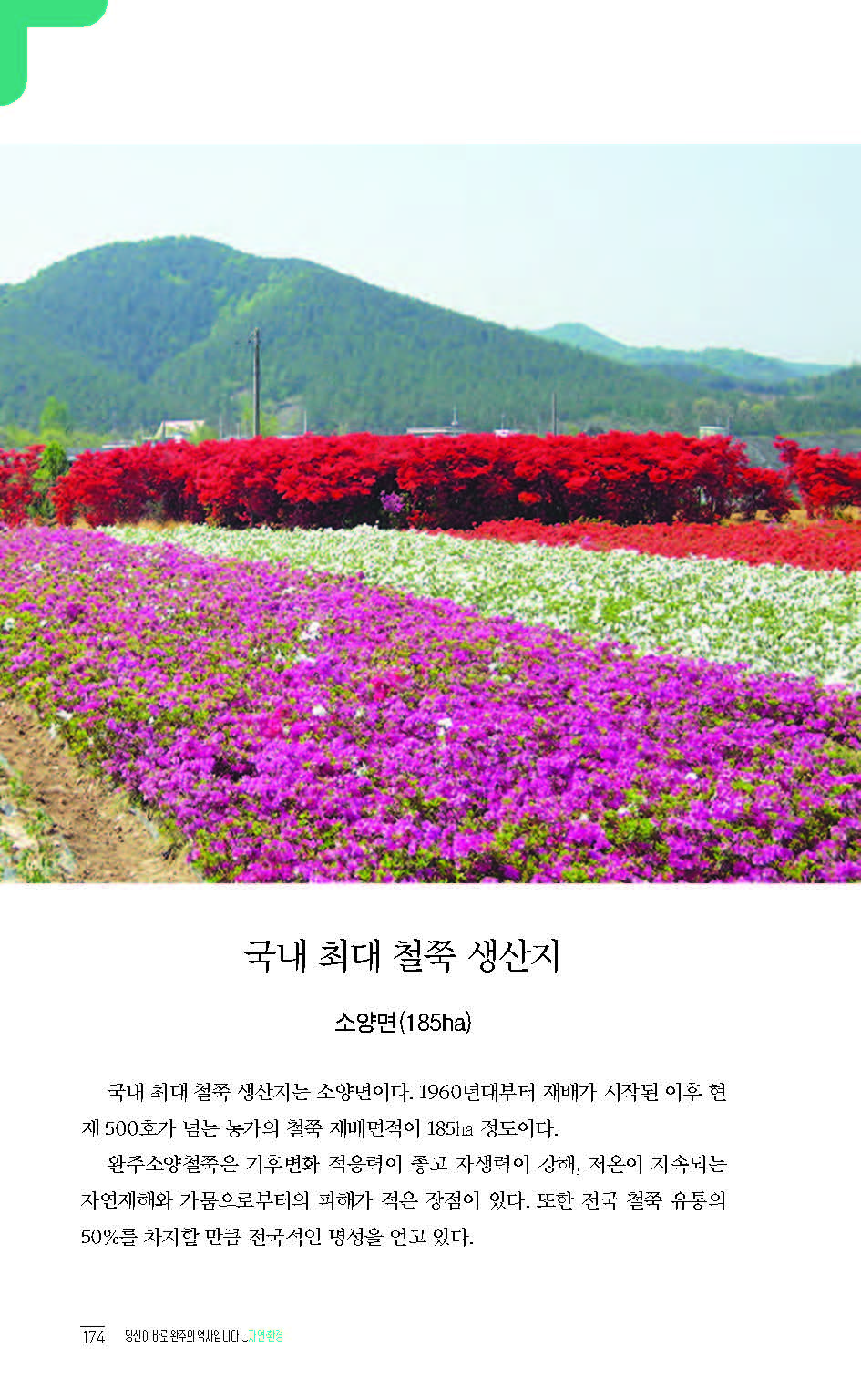 2020완주기네스재발견_페이지_175.jpg