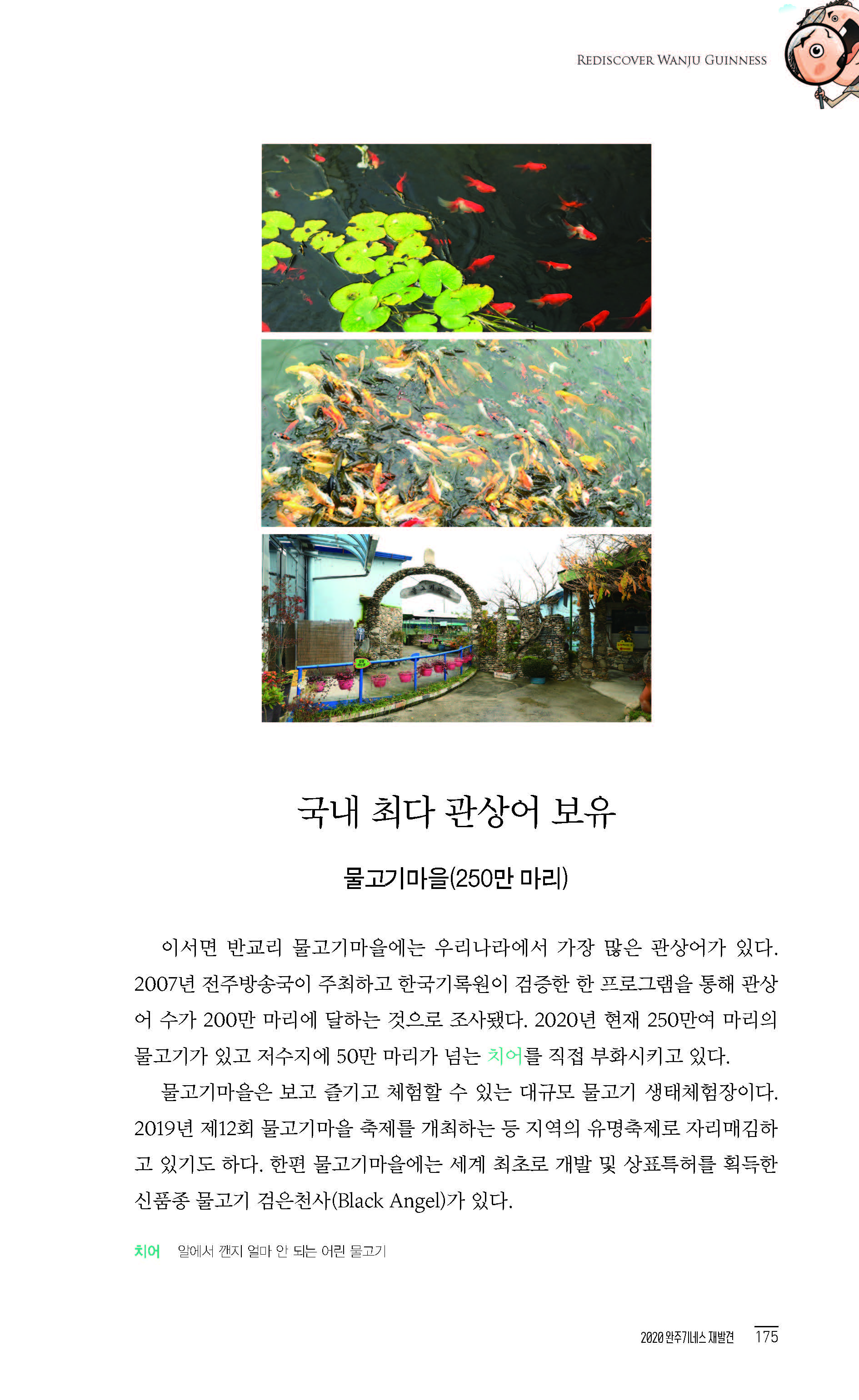 2020완주기네스재발견_페이지_176.jpg