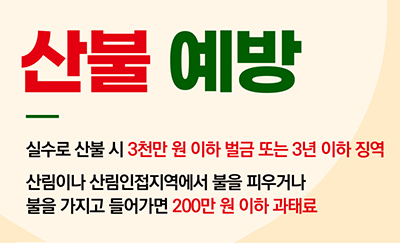 산불 예방
실수로 산불 시 3천만 원 이하 벌금 또는 3년 이하 징역
산림이나 산림인접지역에서 불을 피우거나
불을 가지고 들어가면 200만 원 이하 과태료