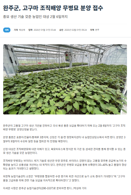 조직배양 고구마 무병묘 분양신청접수.png