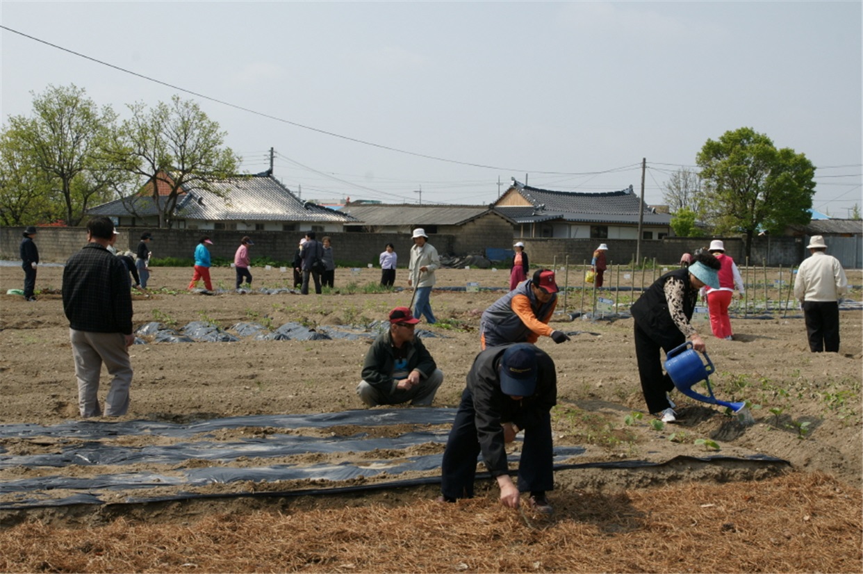 마을시민텃밭.jpg