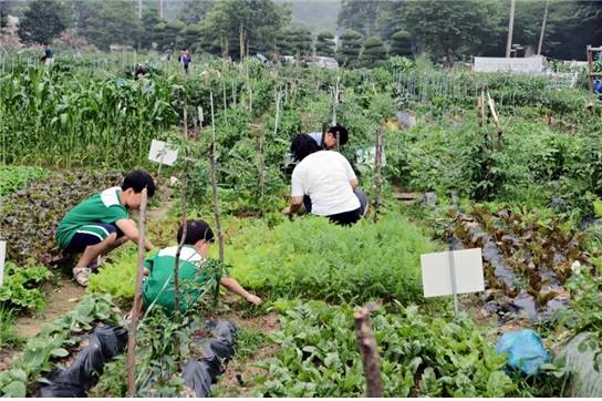 마을시민텃밭1.jpg