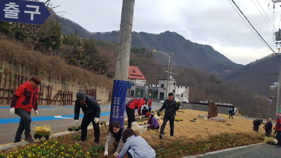 운주면환경정비및꽃묘심기.jpg