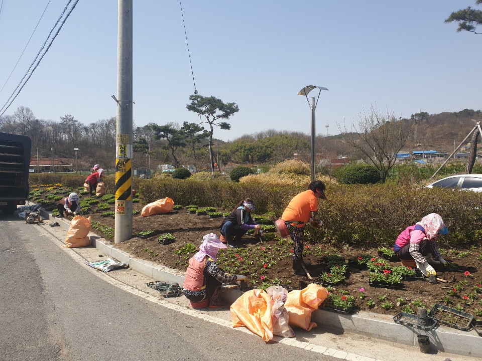 화산면조성중사진.jpg