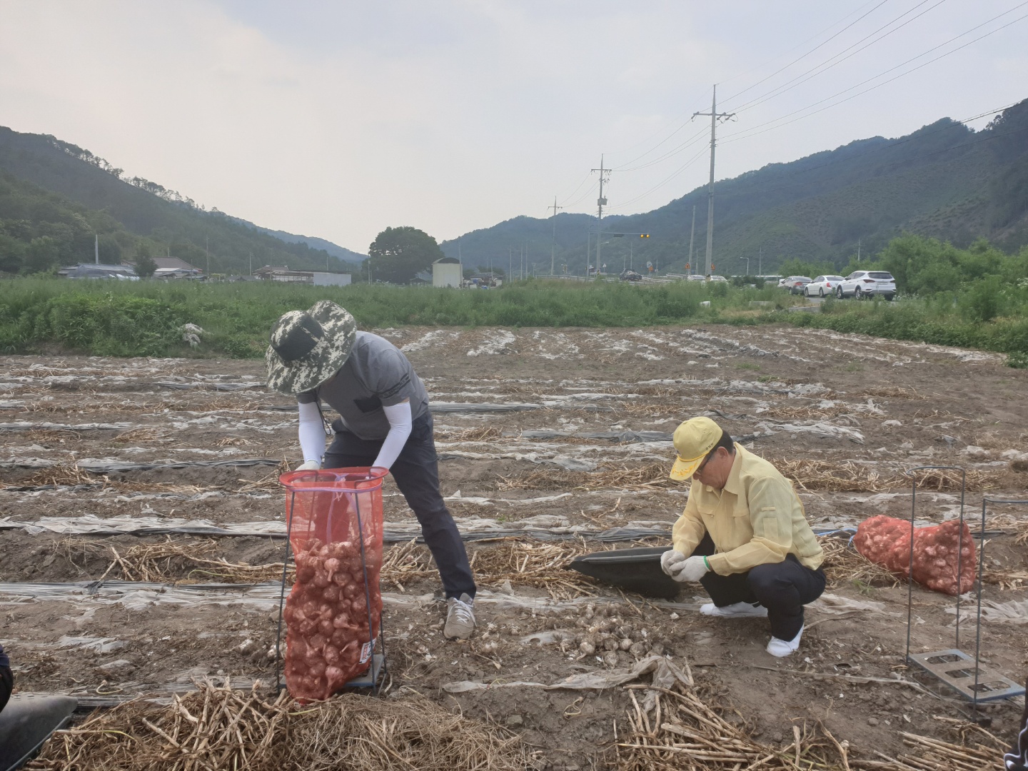 문원영부군수일손돕기.jpg