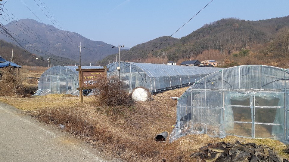 경영실습농장.jpg