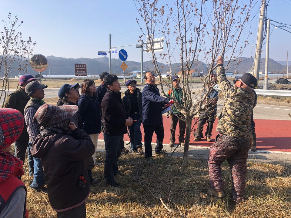 나라꽃무궁화.jpg