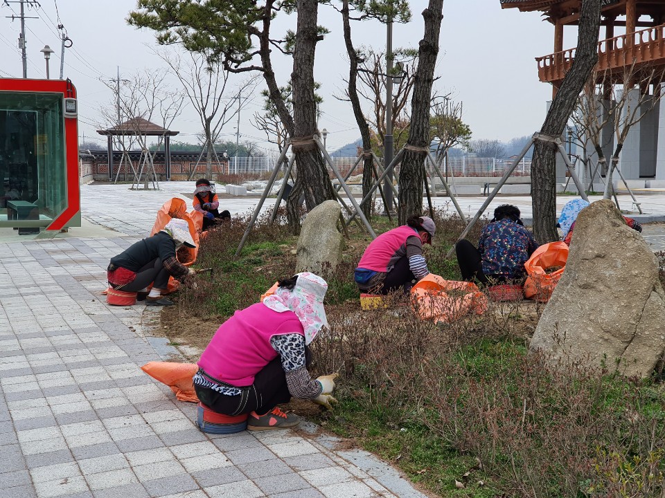 꽃길조성.jpg