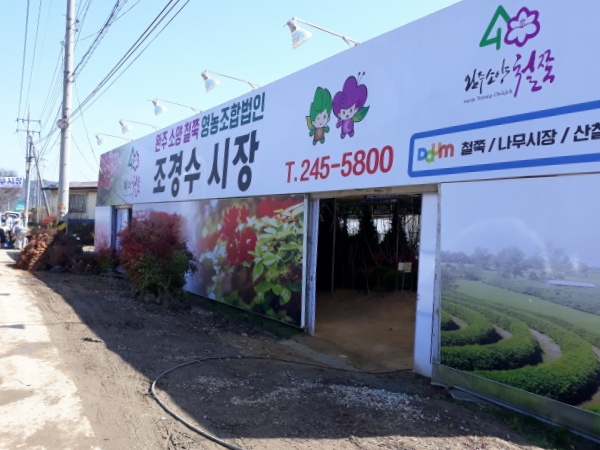 [크기변환]소양면나무시장.jpg
