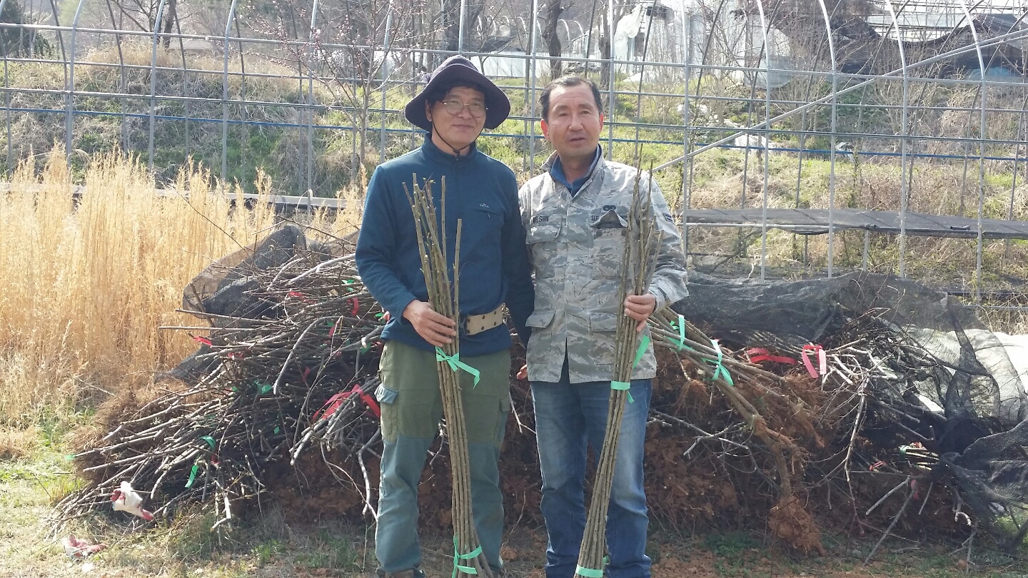 비봉면수양홍도기부.jpg