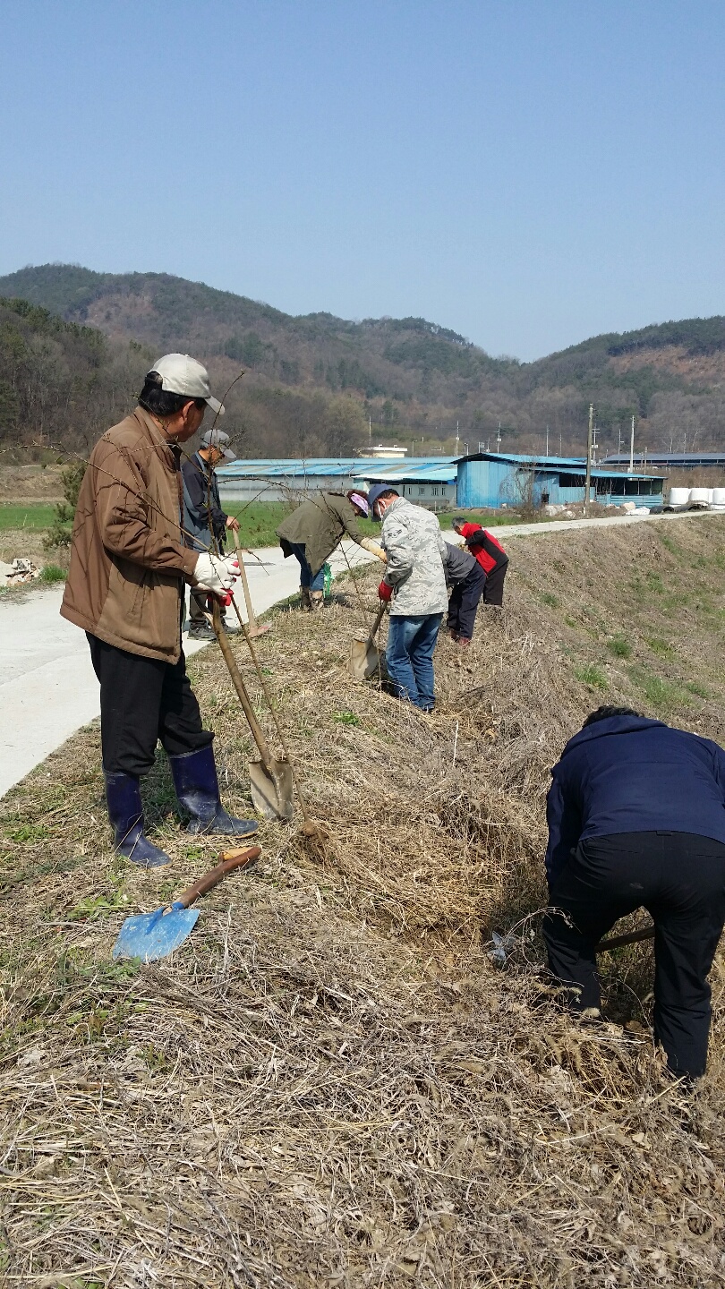 비봉식재1.jpg