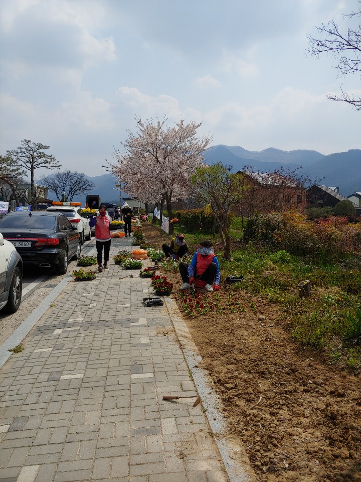 구이면꽃길조성2.jpg