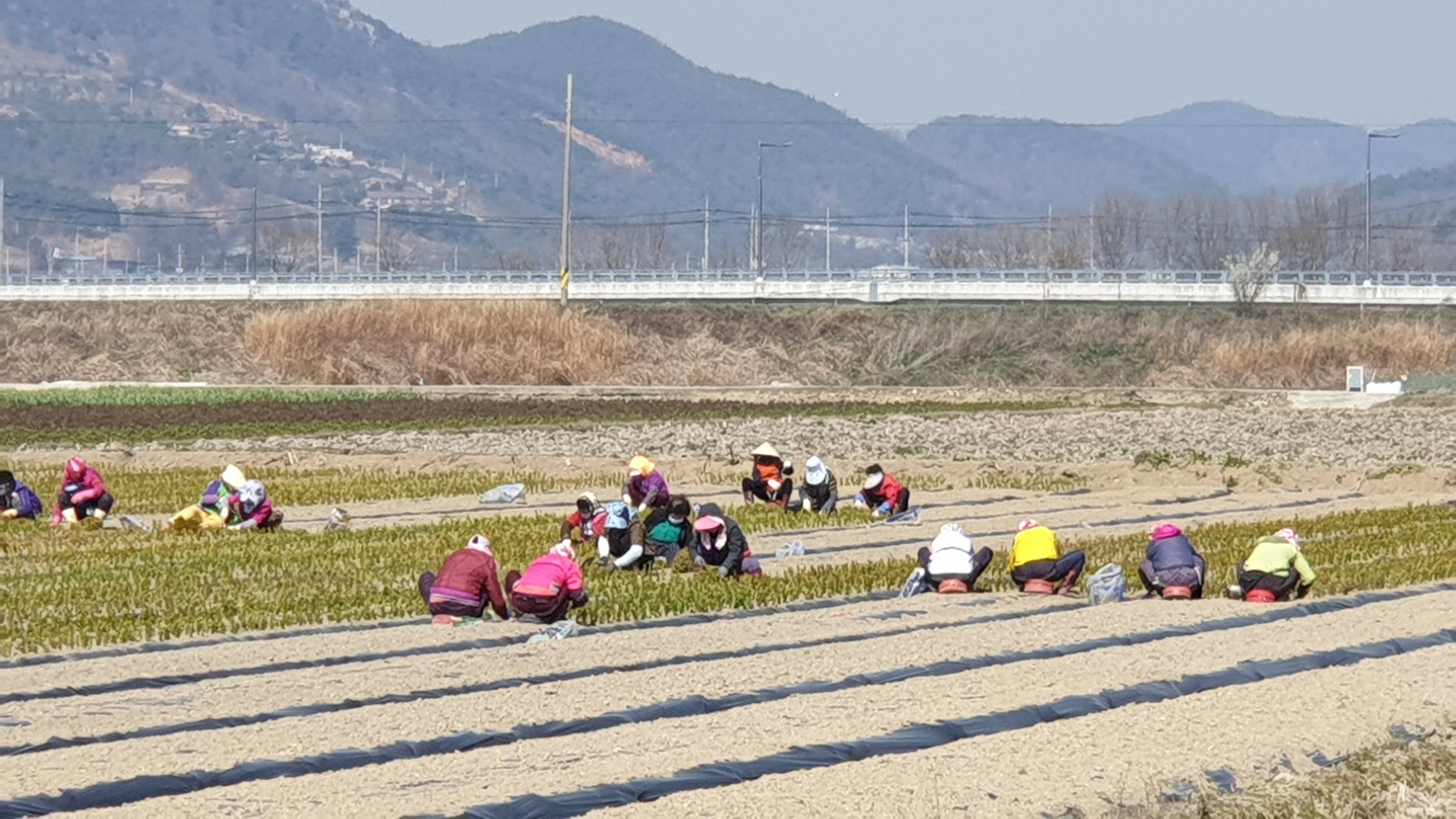 농업인력지원상황실관련.JPG