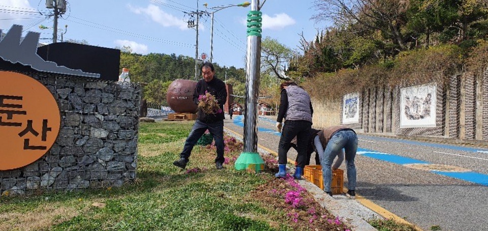 대둔산꽃잔디사진.jpg