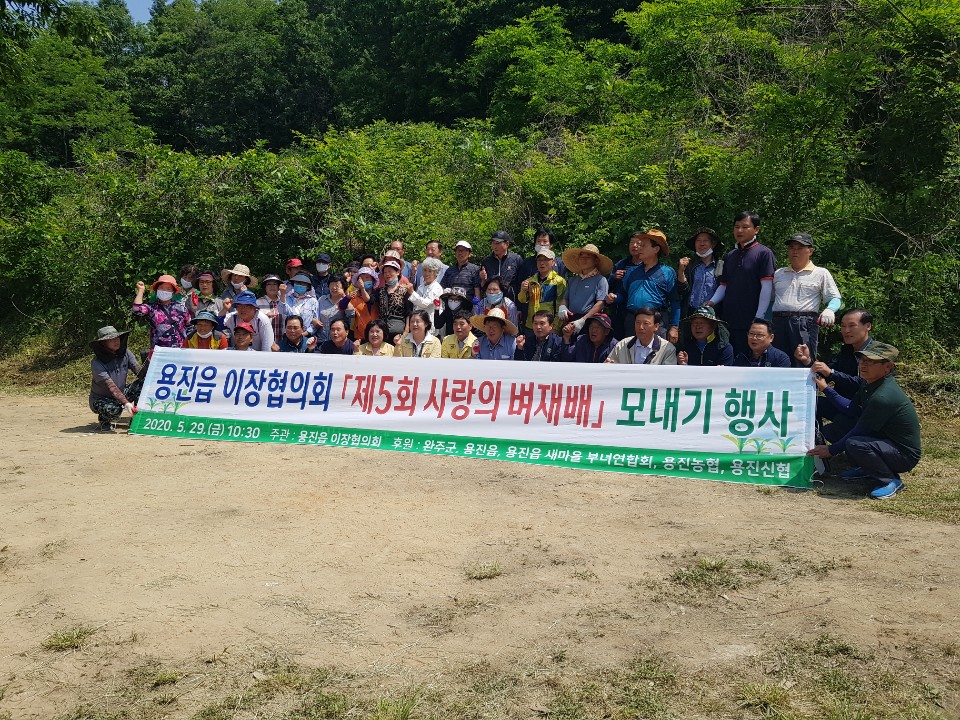용진읍모내기사진.jpg