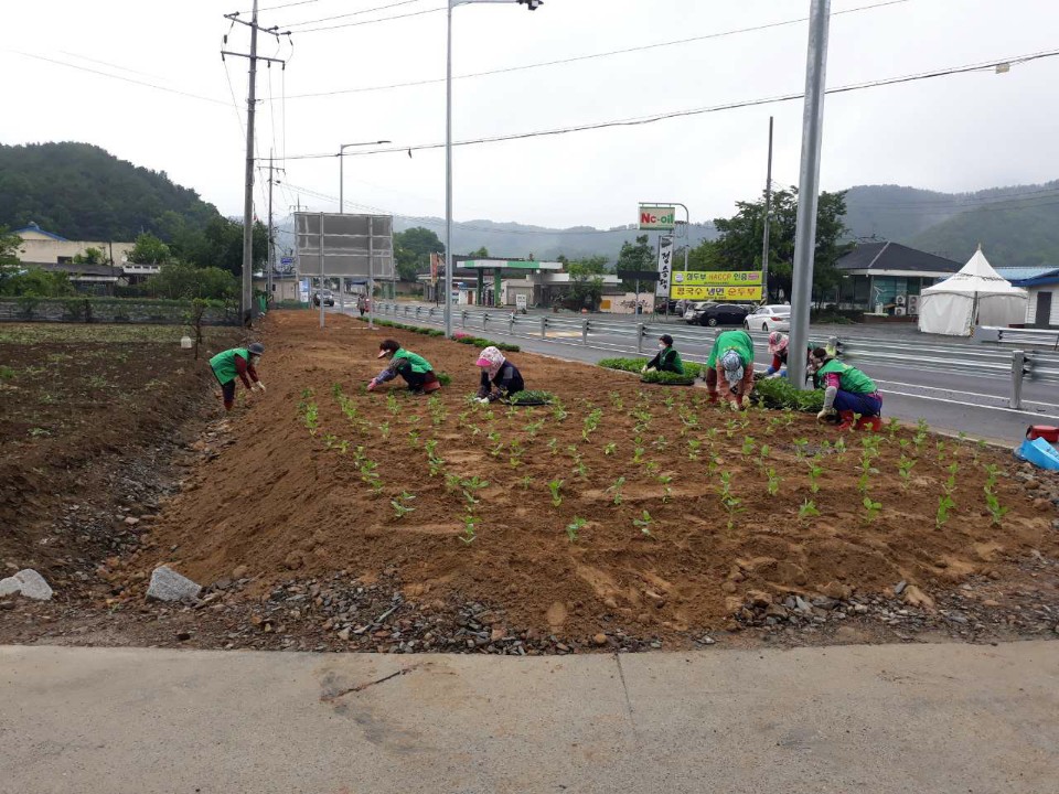 새마을꽃밭.jpg