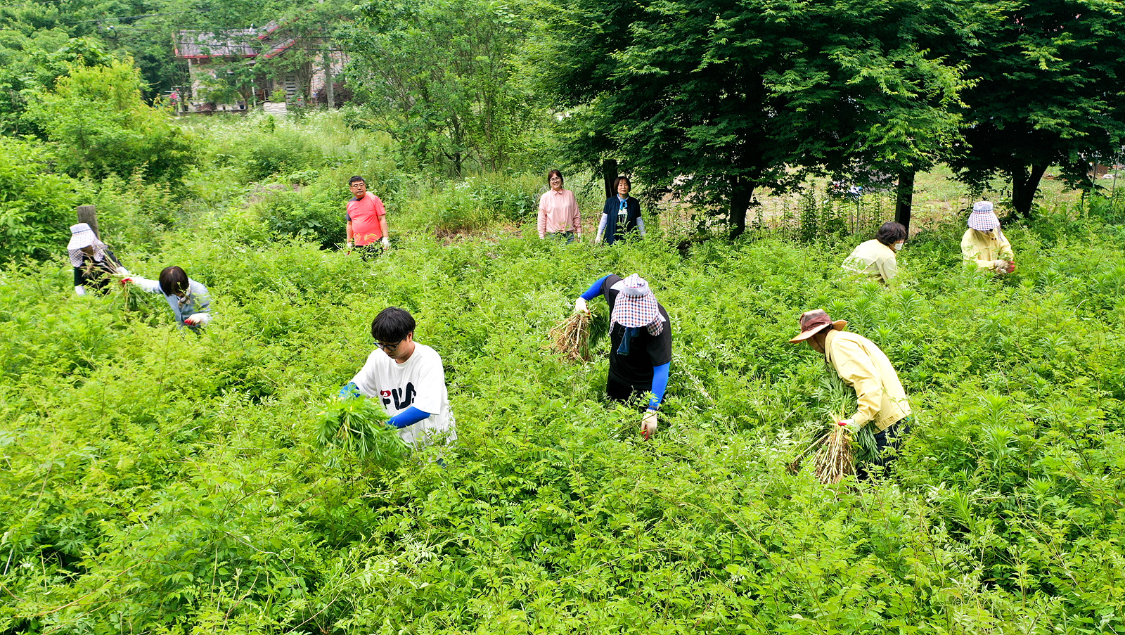 상관면일손돕기사진.jpg