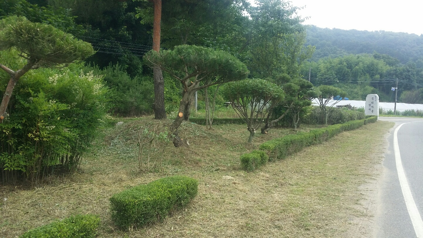 비봉화단-방곡1.jpg