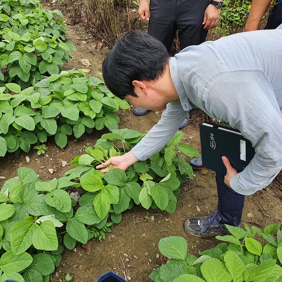 밭작물현장활동.jpg