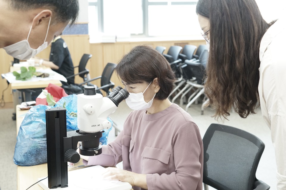 화아검경사진.jpg