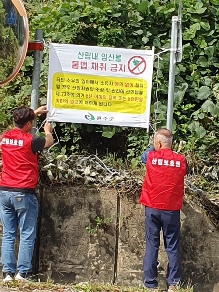 산림보호원(불법임산물플래카드게첨).jpg