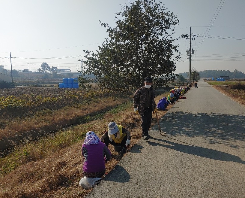 노인일자리식재작업.jpg
