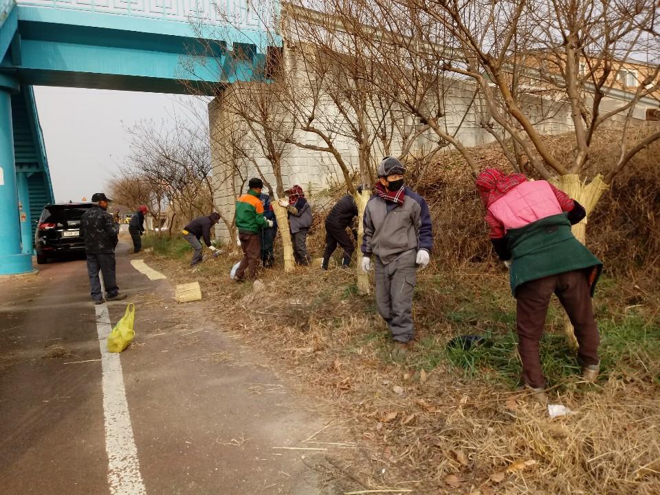 볏짚거적설치사진.jpg