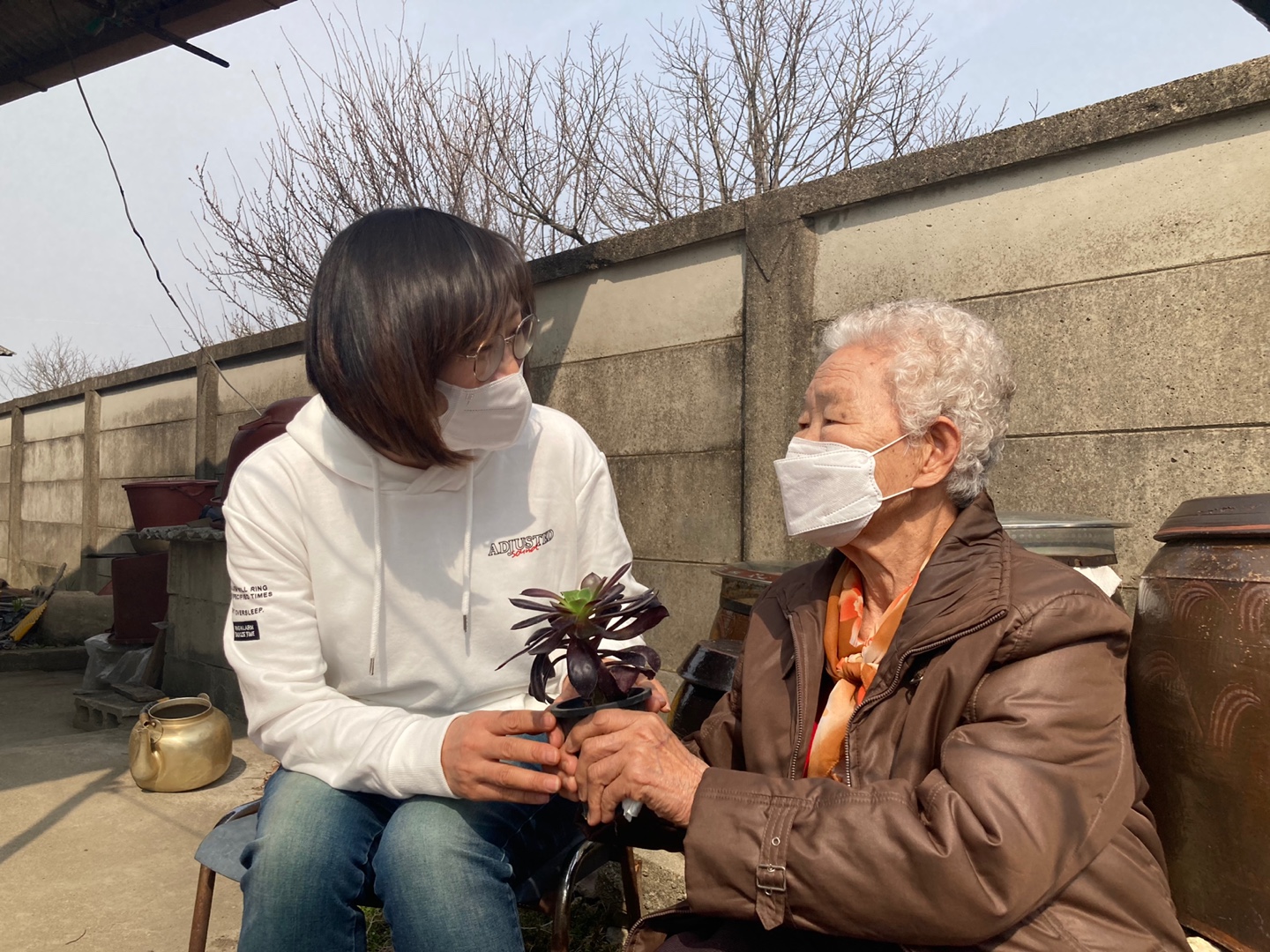 어르신반려식물1.jpg
