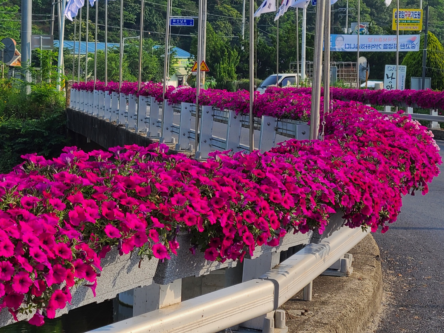화산면꽃다리.jpg