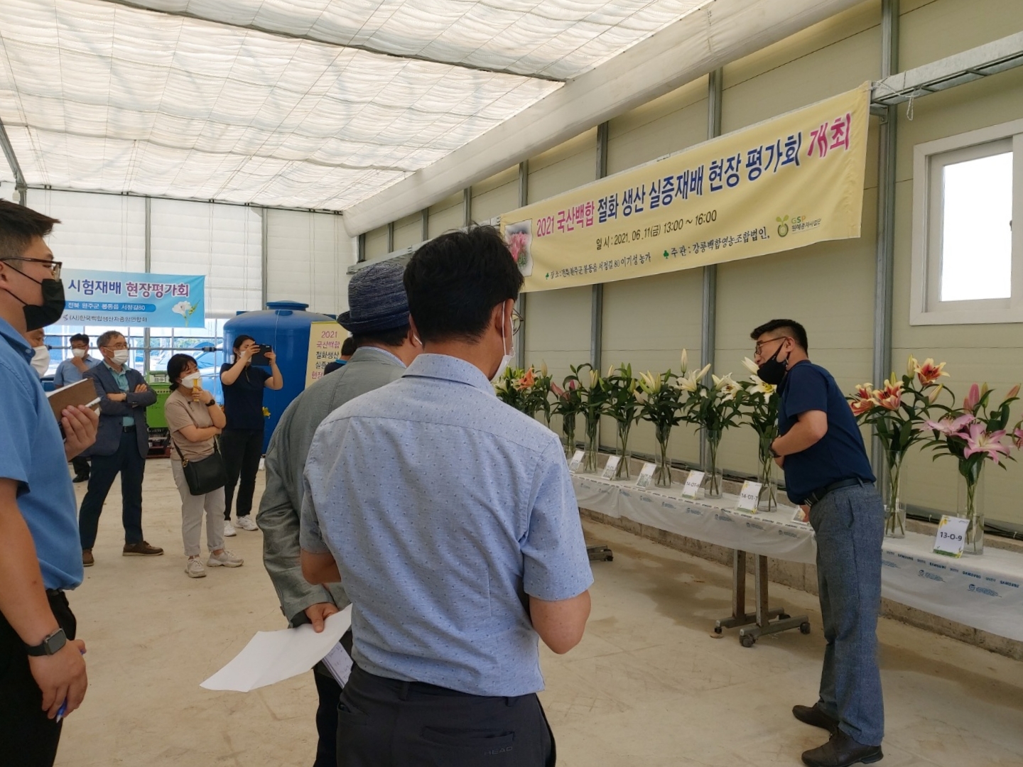 백합실증재배평가회1.jpg