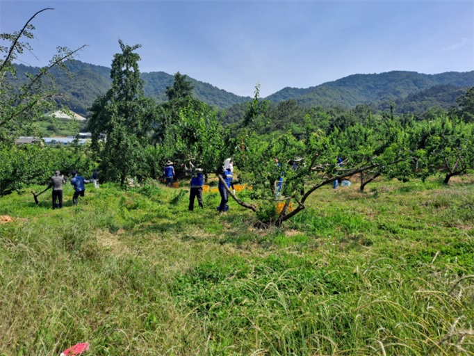산업단지사무소일손돕기.jpg