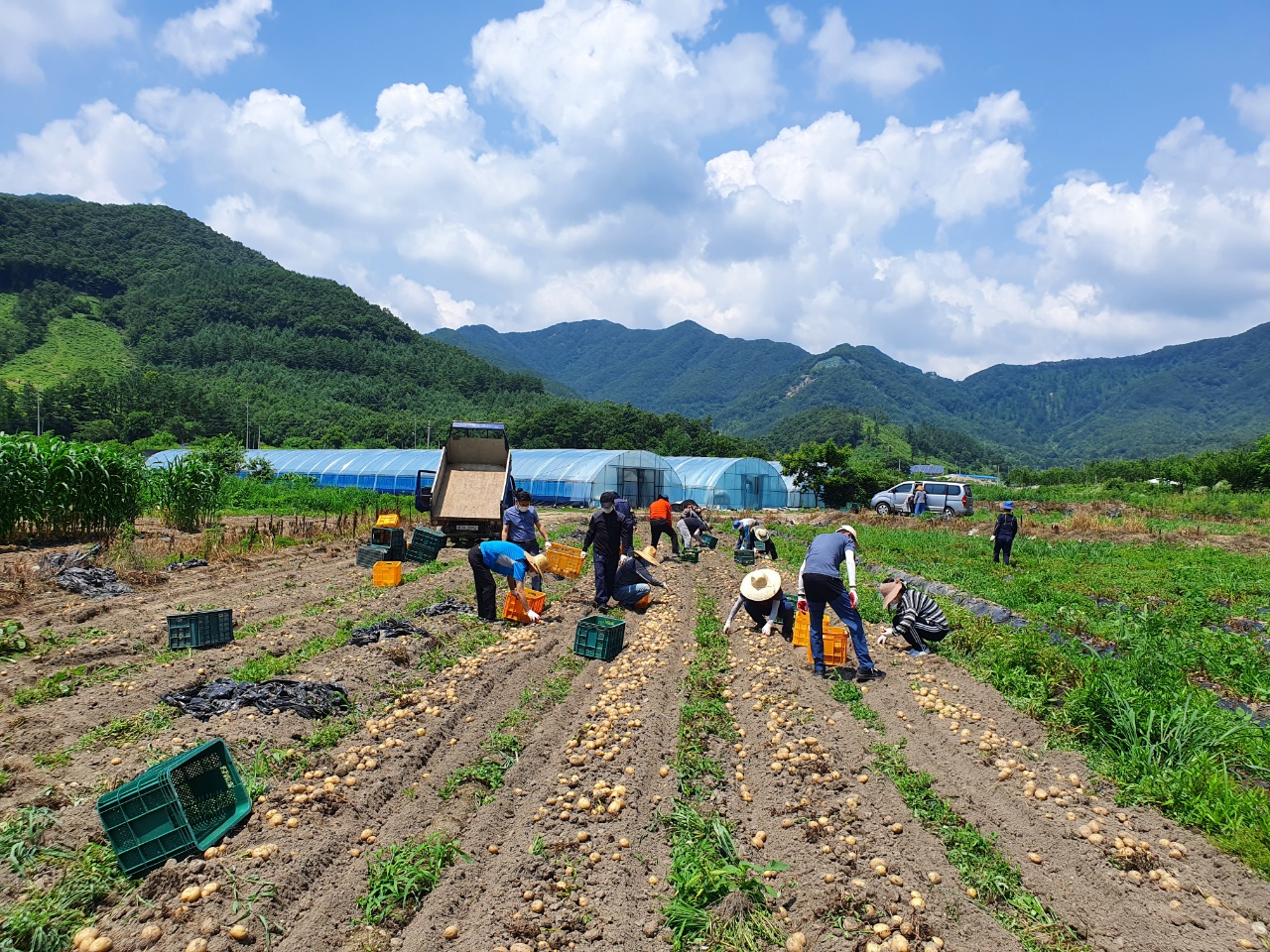 도로교통과일손돕기.jpg
