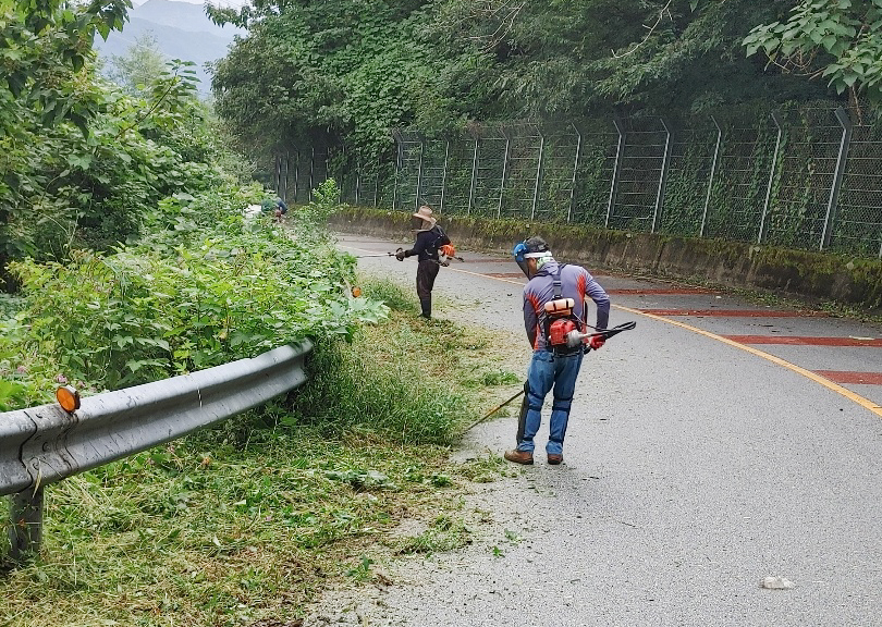 상관면제초작업1.jpg
