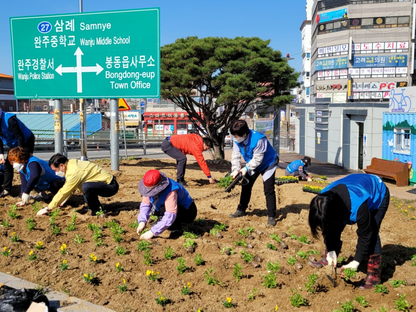 봉동읍봄꽃식재.jpg